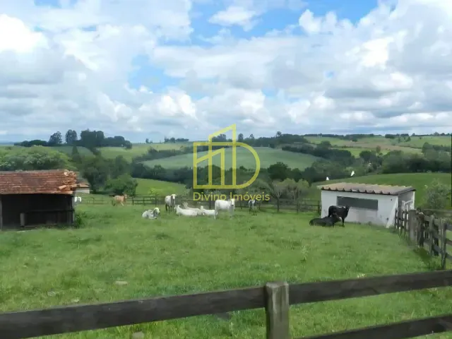 Sítio com 350174m², à venda, no bairro Área Rural de Tatuí em Tatuí