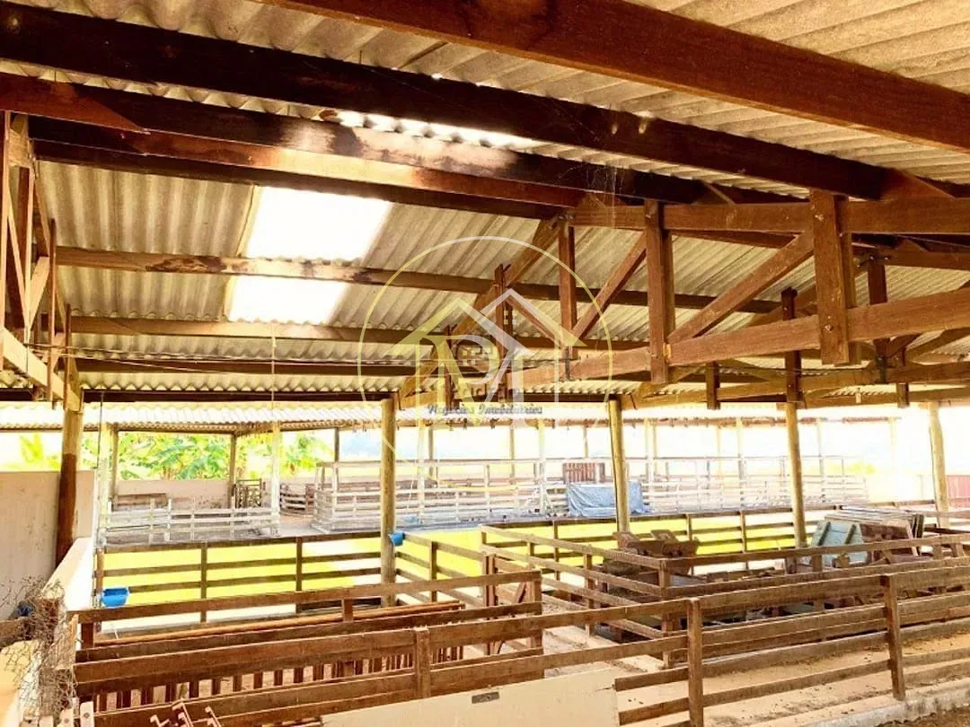 Fazenda, 56 hectares - Foto 37
