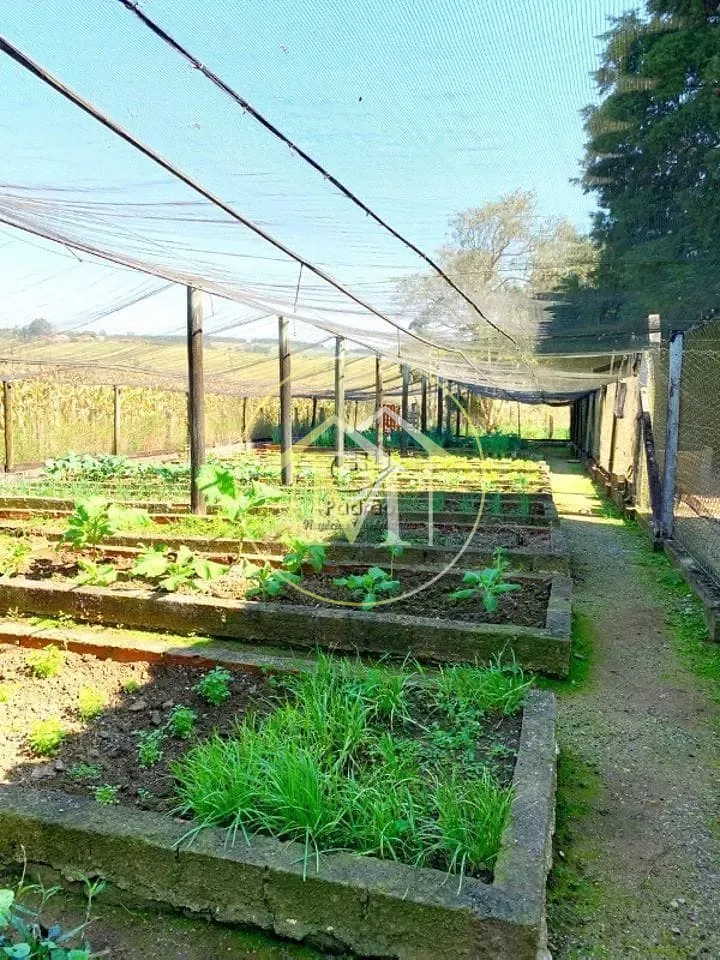 Fazenda, 56 hectares - Foto 42
