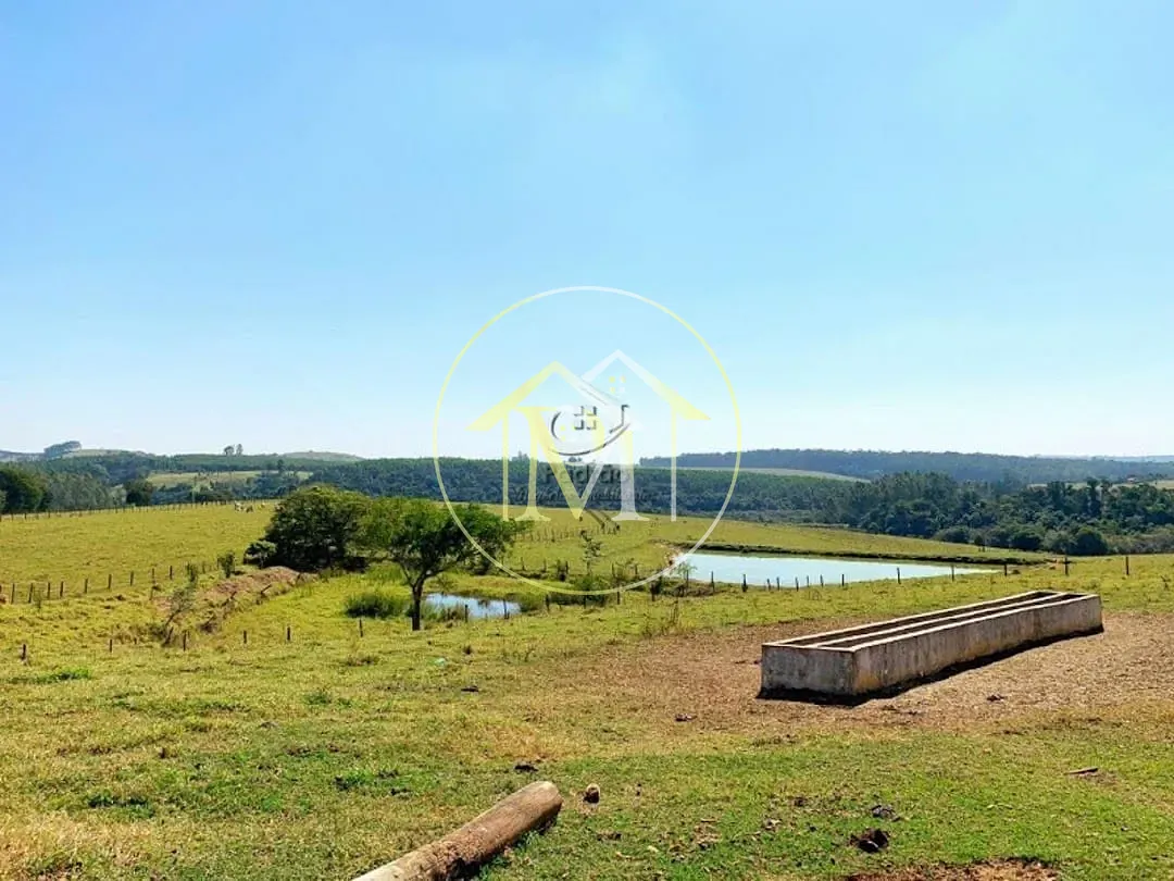 Fazenda, 56 hectares - Foto 33
