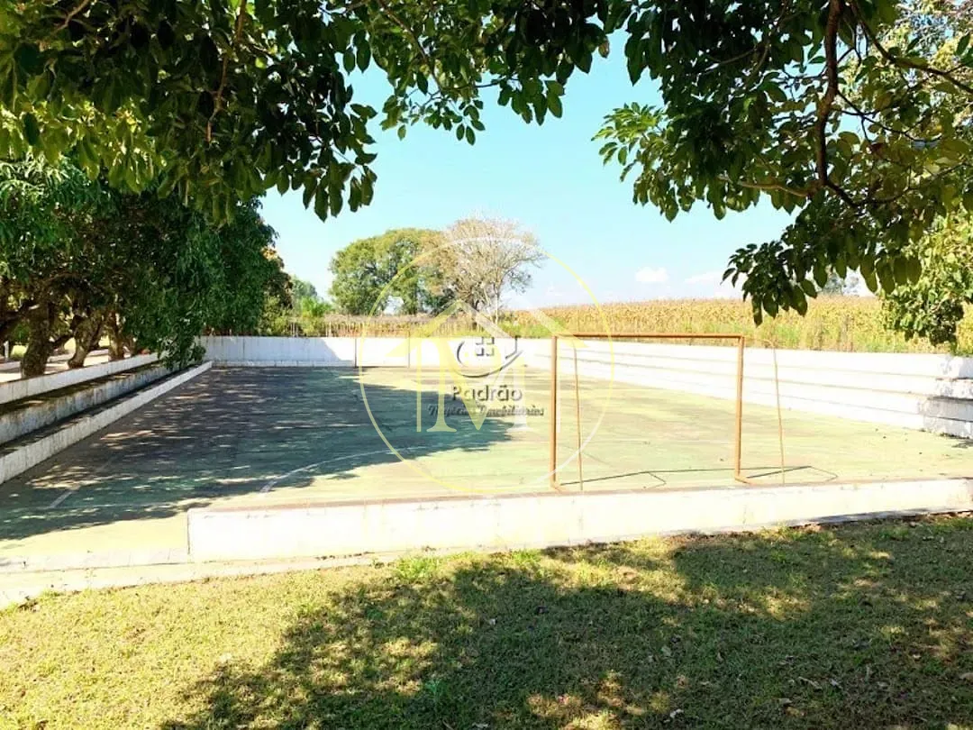 Fazenda, 56 hectares - Foto 32