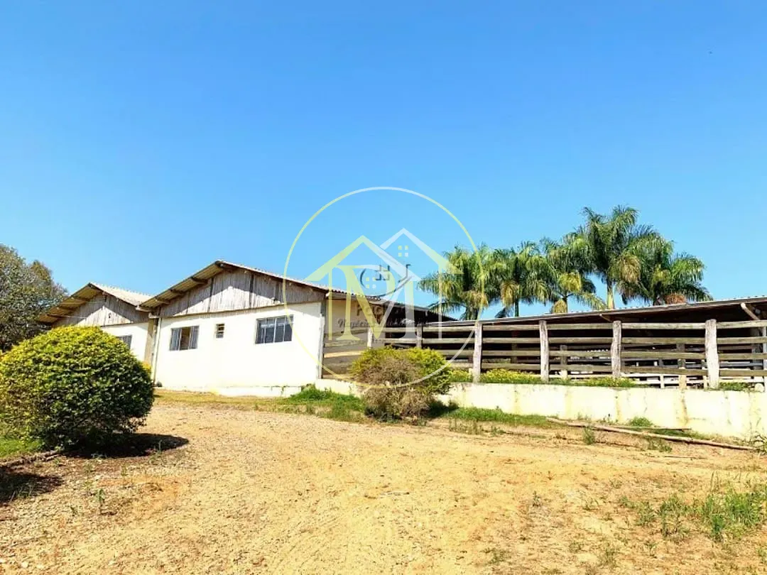 Fazenda, 56 hectares - Foto 30