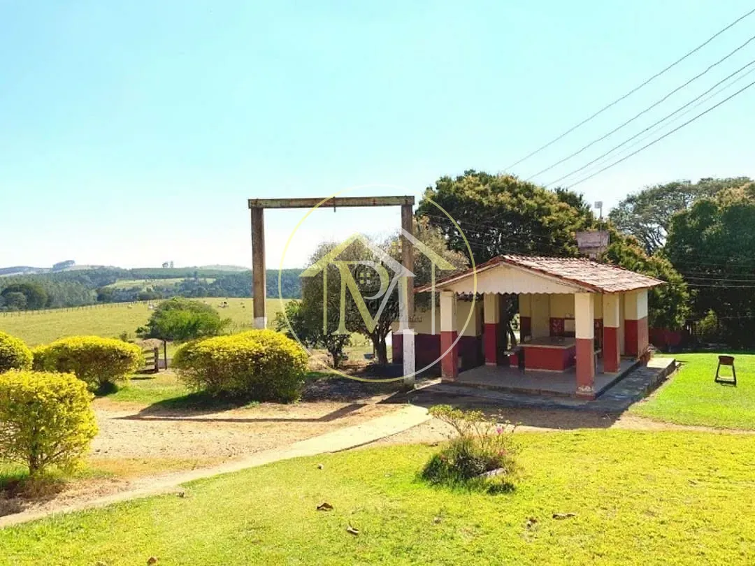 Fazenda, 56 hectares - Foto 41