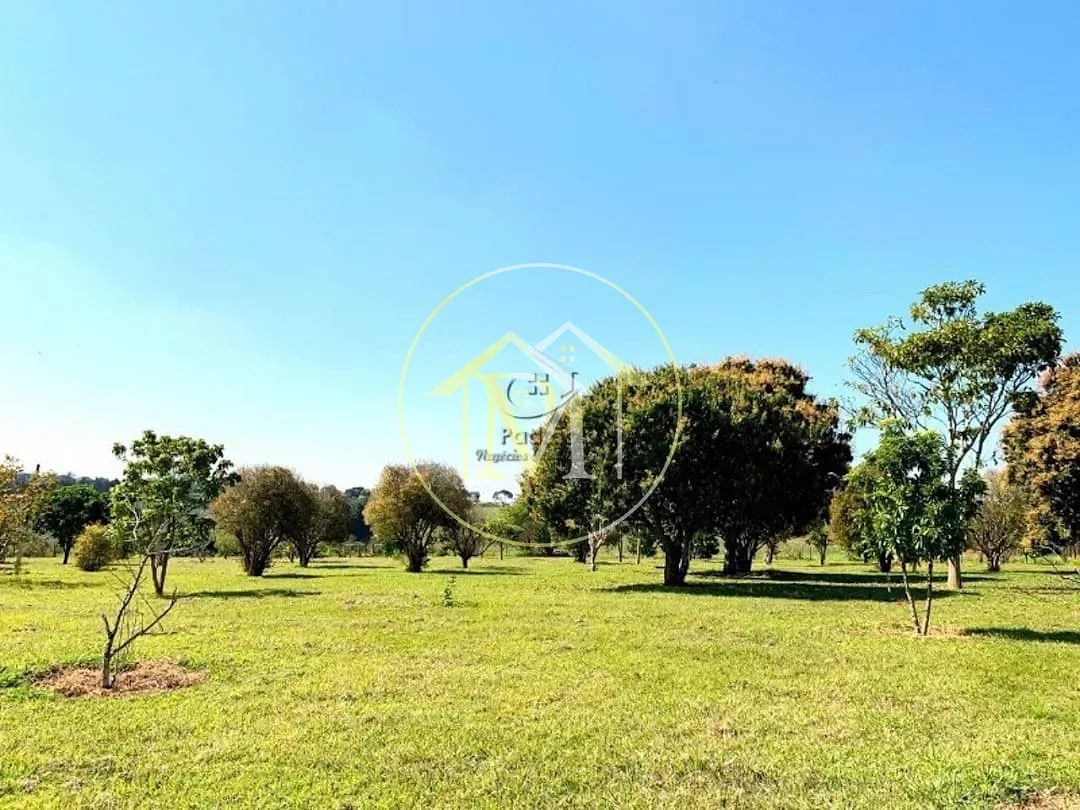 Fazenda, 56 hectares - Foto 44