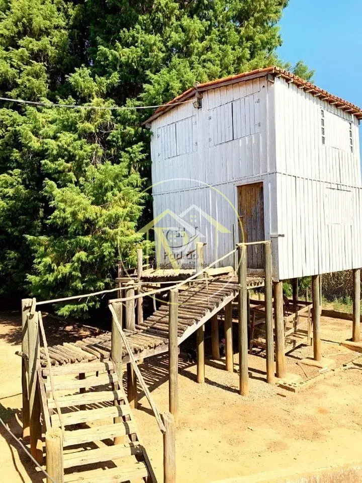 Fazenda, 56 hectares - Foto 20