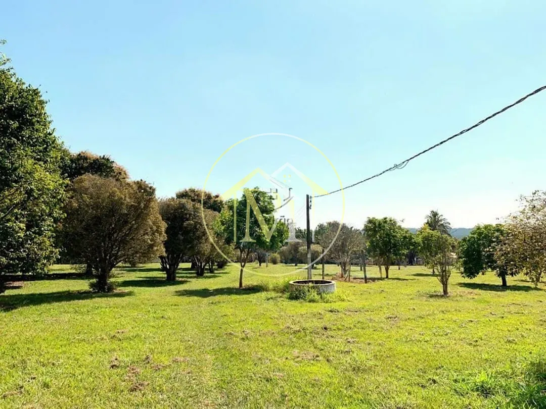 Fazenda, 56 hectares - Foto 29