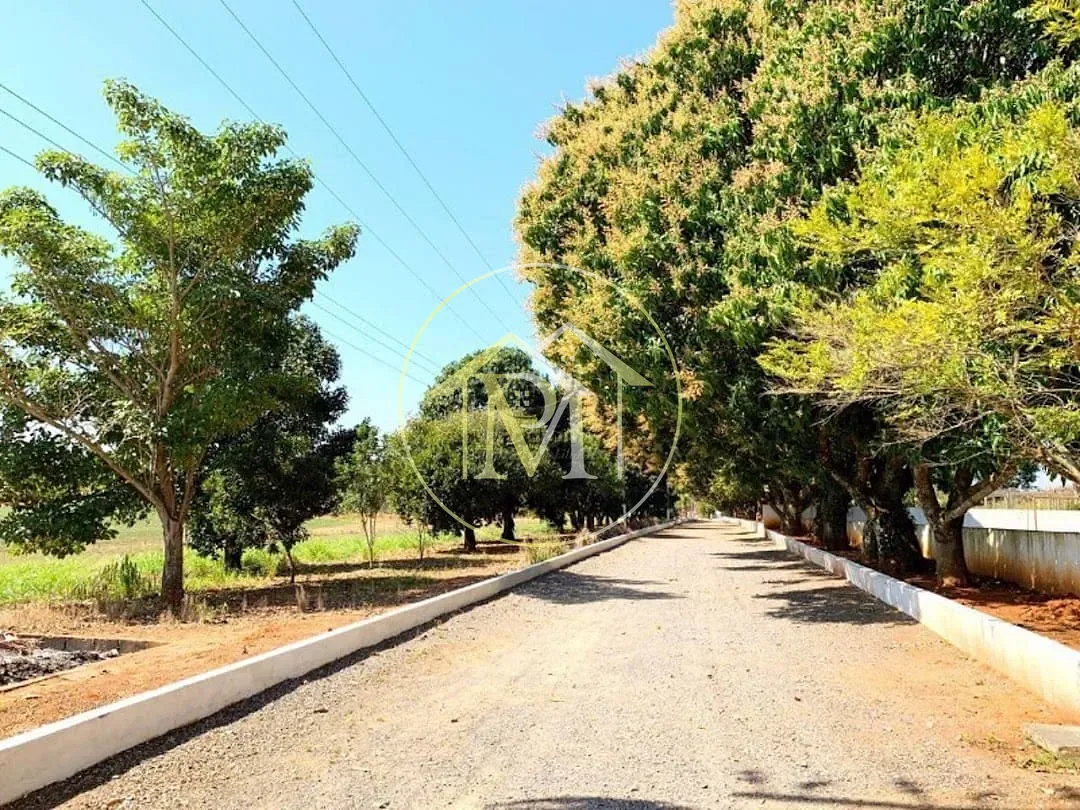 Fazenda, 56 hectares - Foto 31