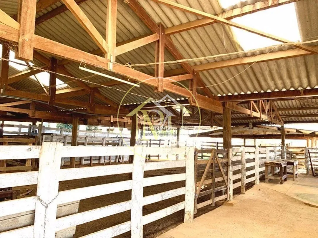 Fazenda, 56 hectares - Foto 38