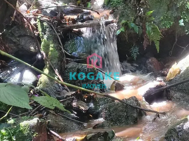 Sítio com 95000m², à venda, no bairro Centro em Monteiro Lobato