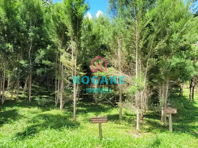 Sítio com 95000m², à venda, no bairro Centro em Monteiro Lobato