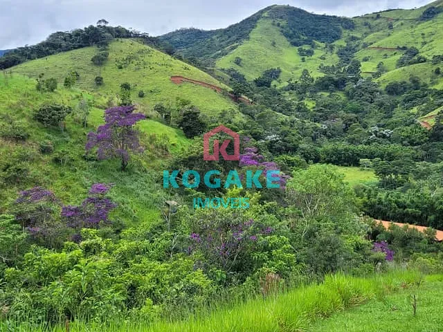 Sítio com 130000m², à venda, no bairro Centro em Monteiro Lobato