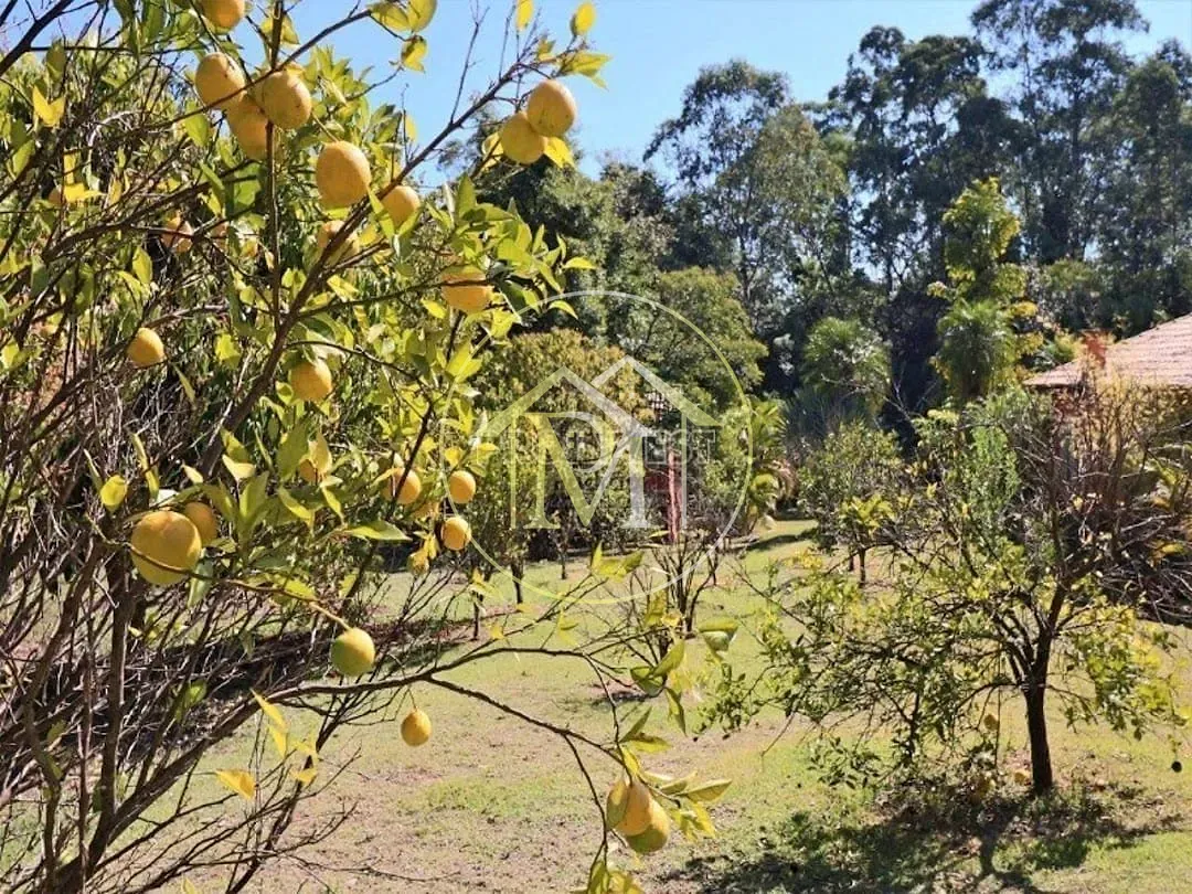 Sítio, 7 quartos, 2 hectares - Foto 12