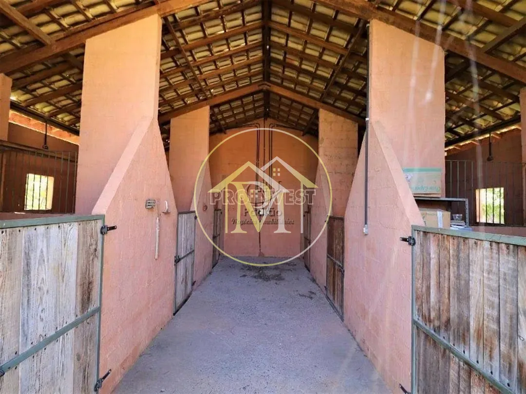 Sítio, 7 quartos, 2 hectares - Foto 13