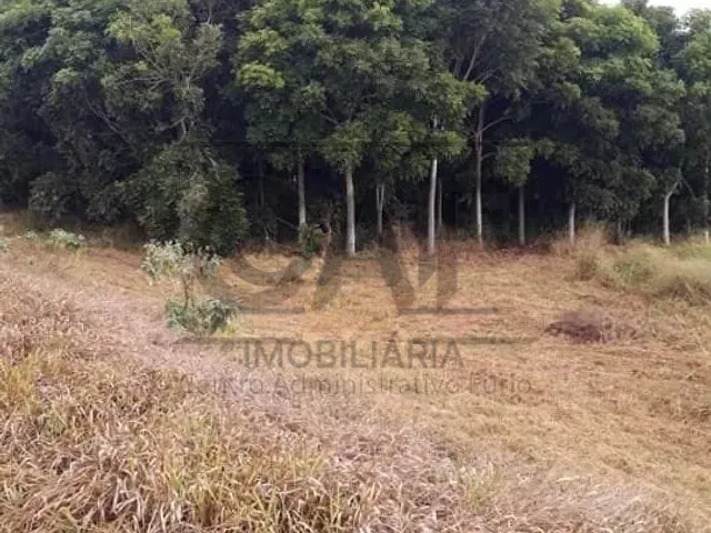 Sítio com 40000m², à venda, no bairro Área Rural de Artur Nogueira em Artur Nogueira