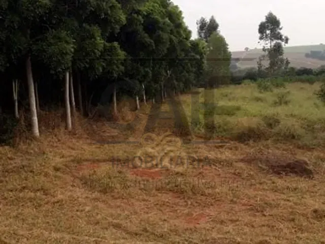 Sítio com 40000m², à venda, no bairro Área Rural de Artur Nogueira em Artur Nogueira