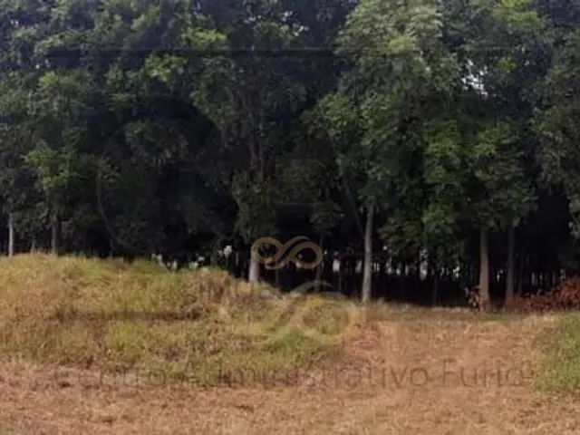 Sítio com 40000m², à venda, no bairro Área Rural de Artur Nogueira em Artur Nogueira