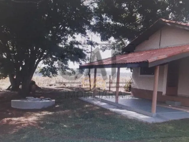 Sítio com 70000m² 2 quartos e 1 banheiro, à venda, no bairro Palmeirinha em Holambra