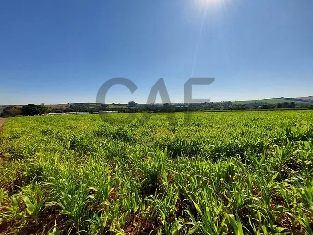 Sítio com 70000m² 2 quartos e 1 banheiro, à venda, no bairro Palmeirinha em Holambra