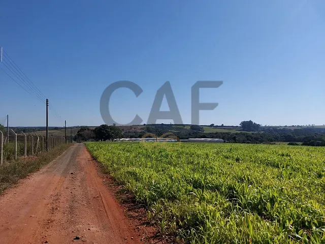 Sítio com 70000m² 2 quartos e 1 banheiro, à venda, no bairro Palmeirinha em Holambra