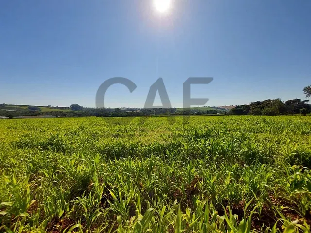 Sítio com 70000m² 2 quartos e 1 banheiro, à venda, no bairro Palmeirinha em Holambra