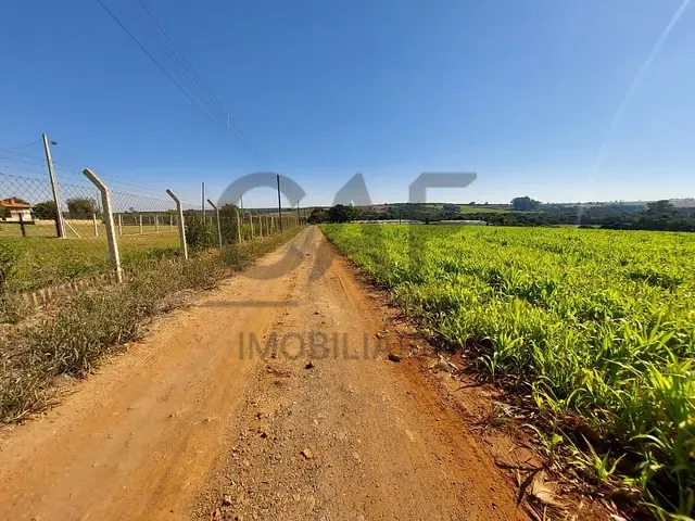 Sítio com 70000m² 2 quartos e 1 banheiro, à venda, no bairro Palmeirinha em Holambra