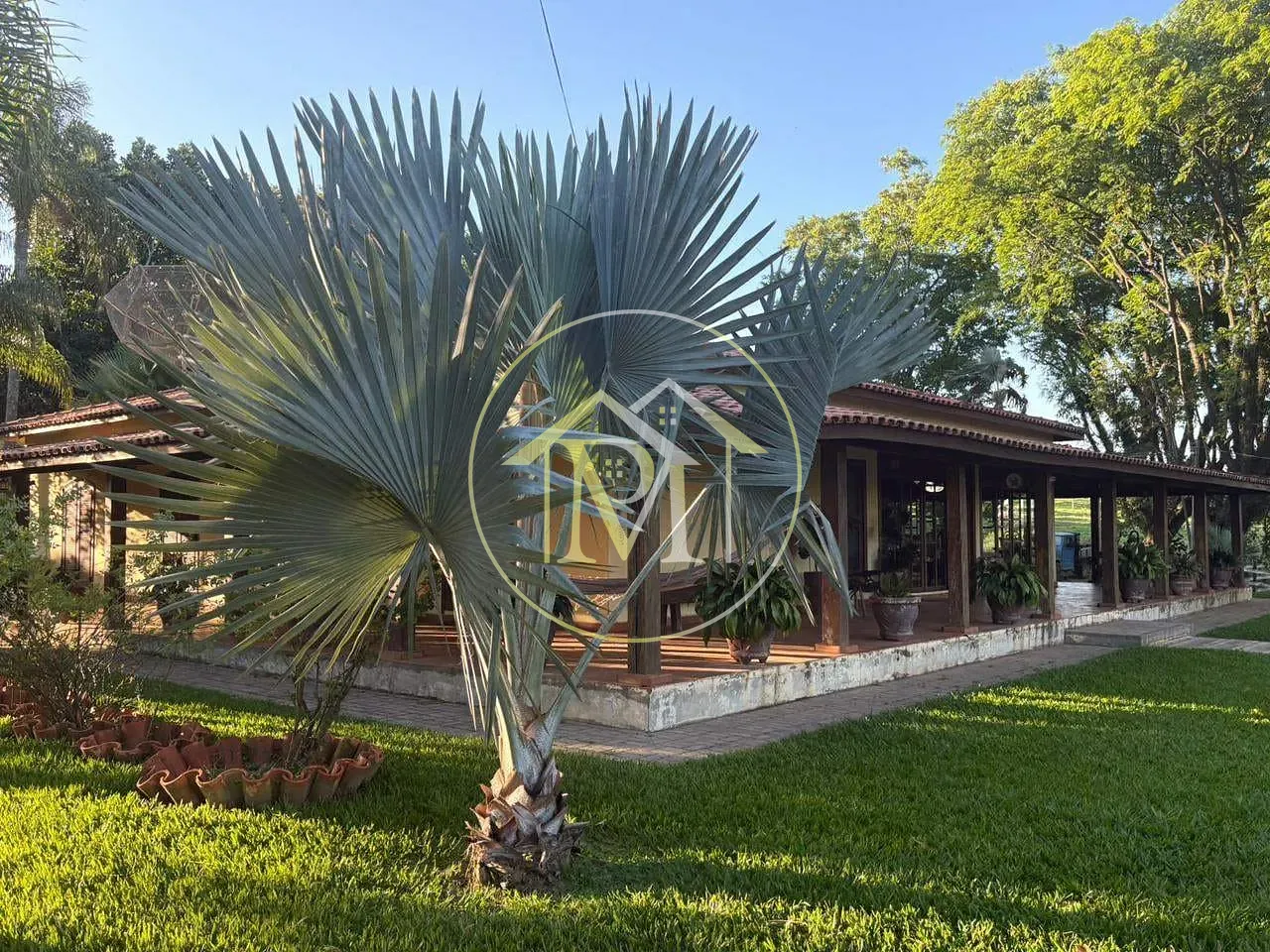 Fazenda, 5 hectares - Foto 6
