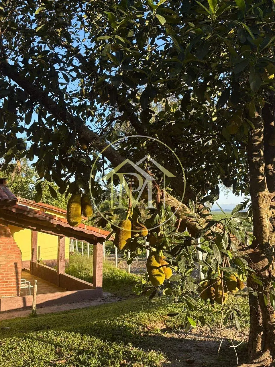 Fazenda, 5 hectares - Foto 7