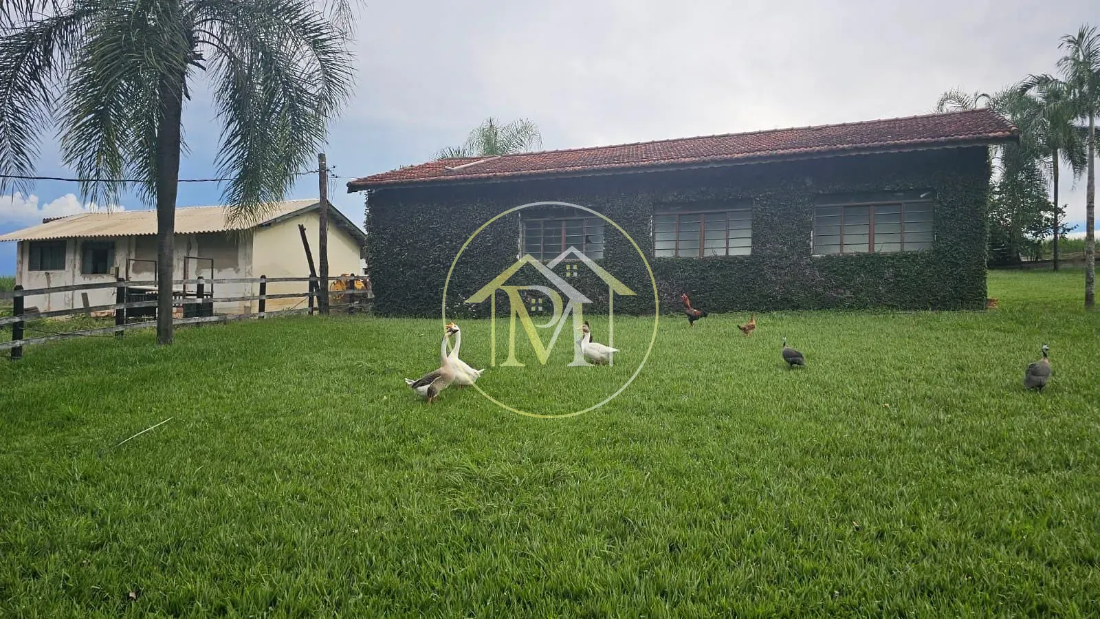 Fazenda, 5 hectares - Foto 62