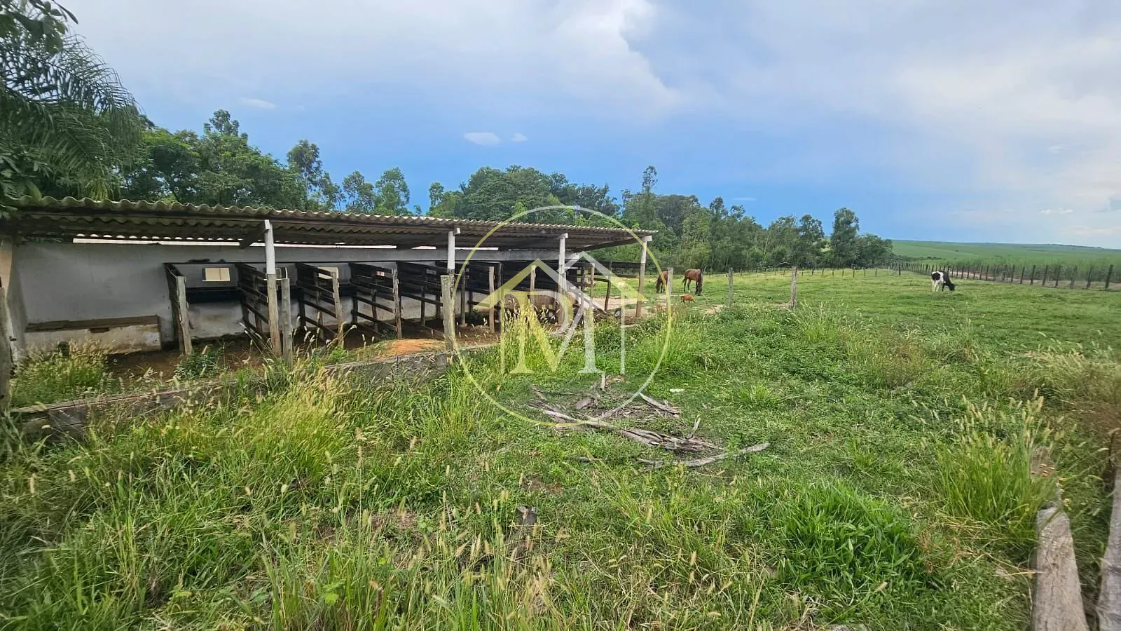 Fazenda, 5 hectares - Foto 34