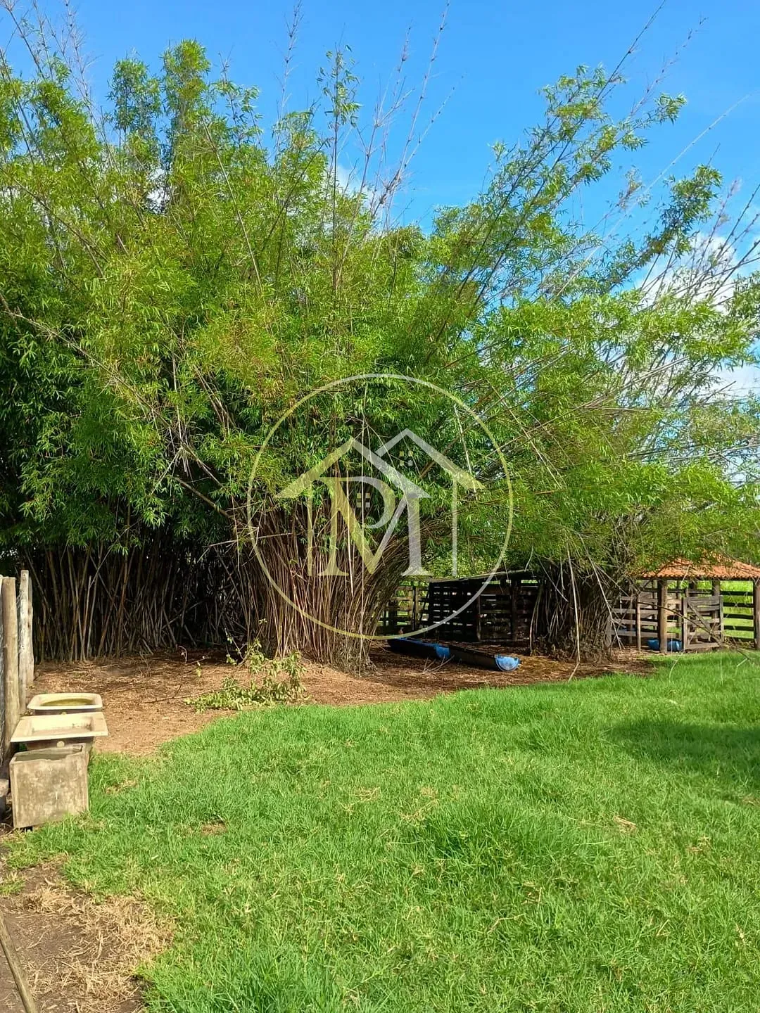 Fazenda, 3 hectares - Foto 29