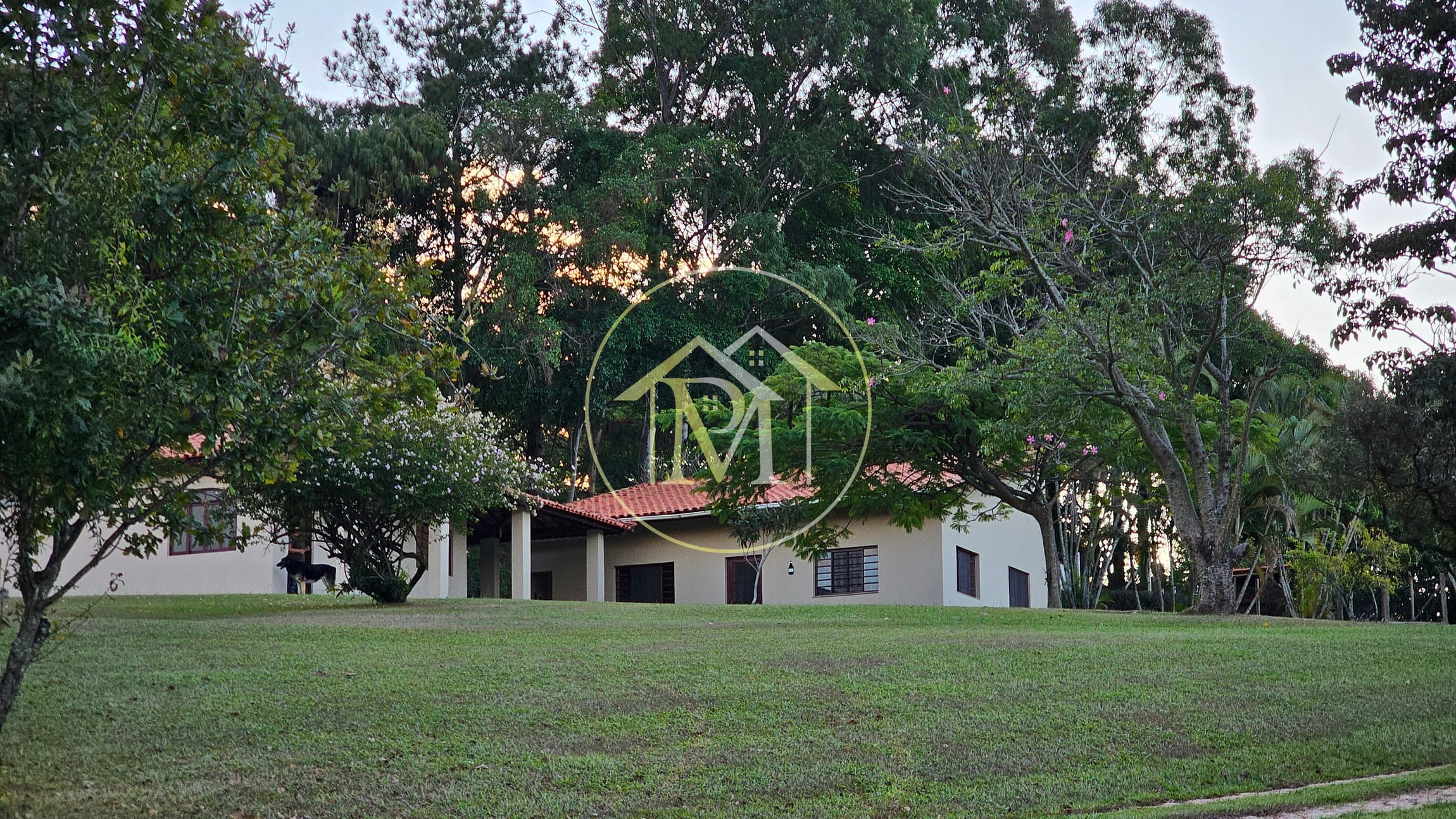 Chácara, 3 quartos, 2 hectares - Foto 11