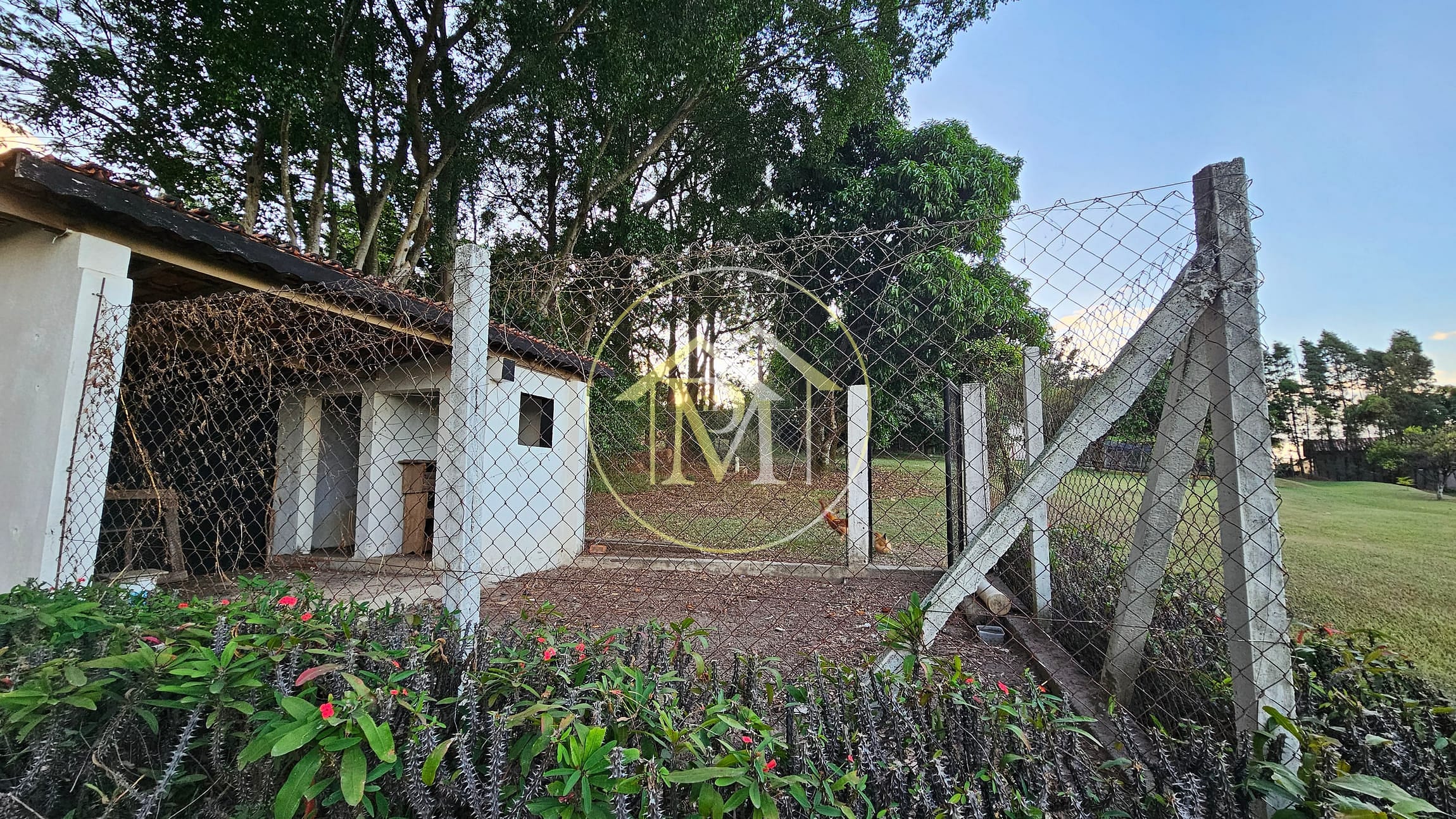 Chácara, 3 quartos, 2 hectares - Foto 13
