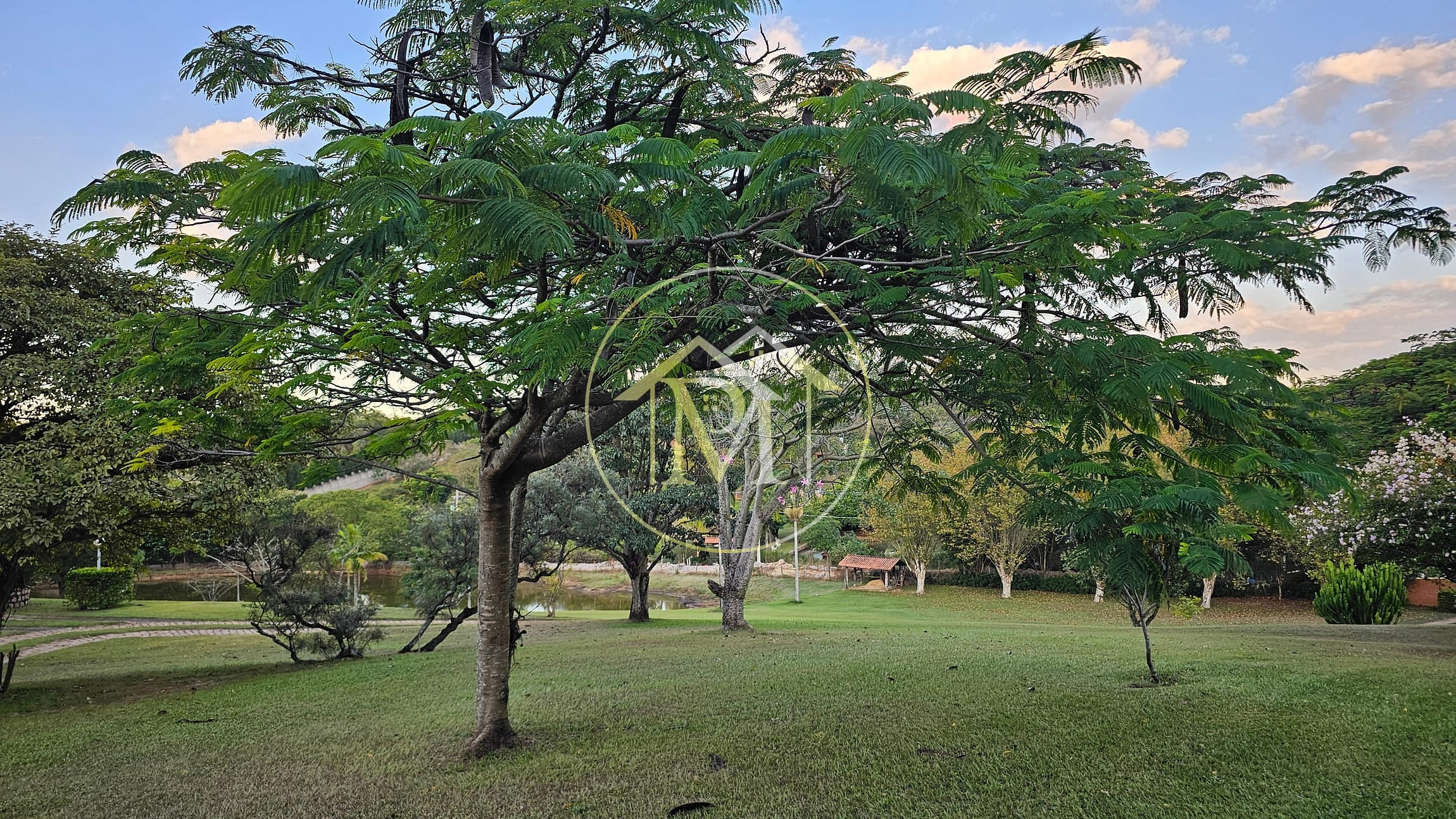 Chácara, 3 quartos, 2 hectares - Foto 16