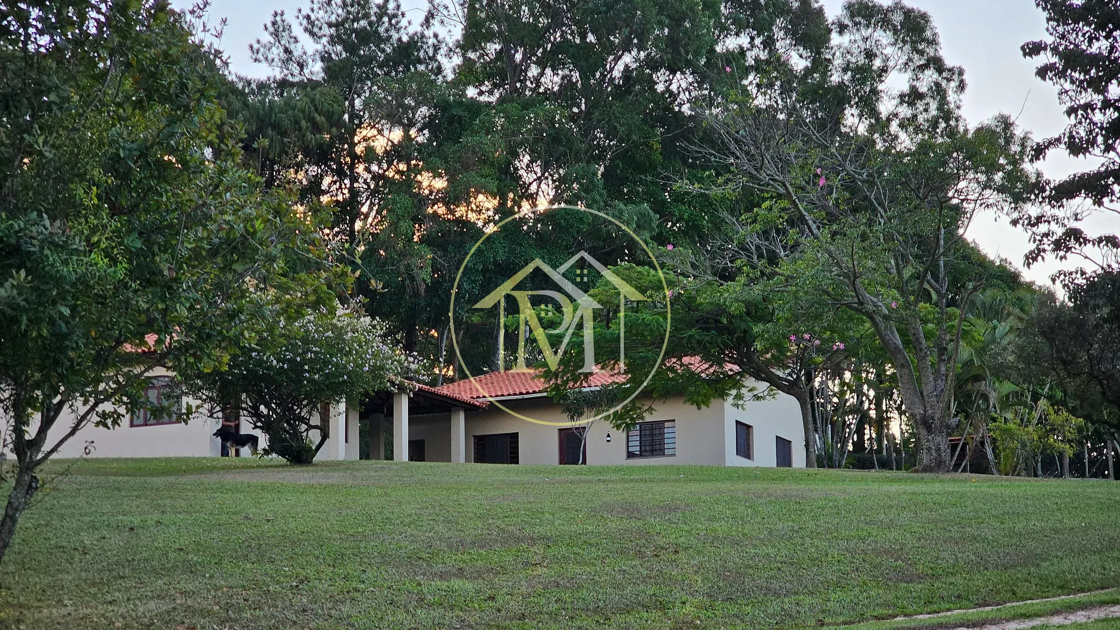 Chácara, 3 quartos, 2 hectares - Foto 11