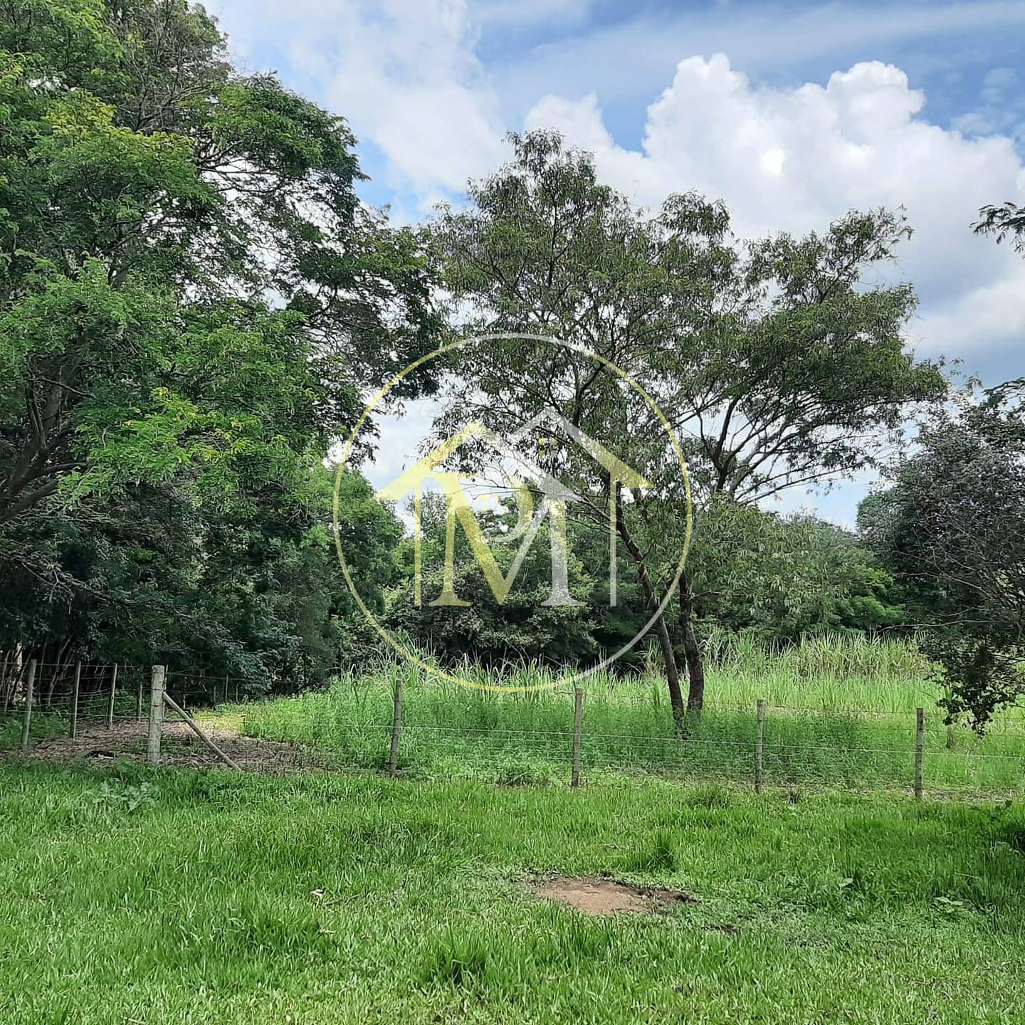 Sítio à venda com 2 quartos, 10m² - Foto 2
