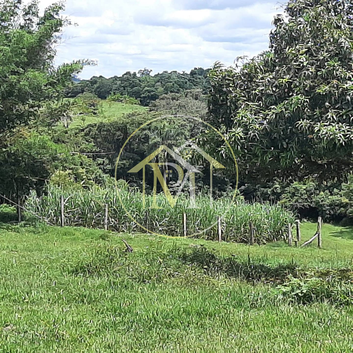 Sítio à venda com 2 quartos, 10m² - Foto 19
