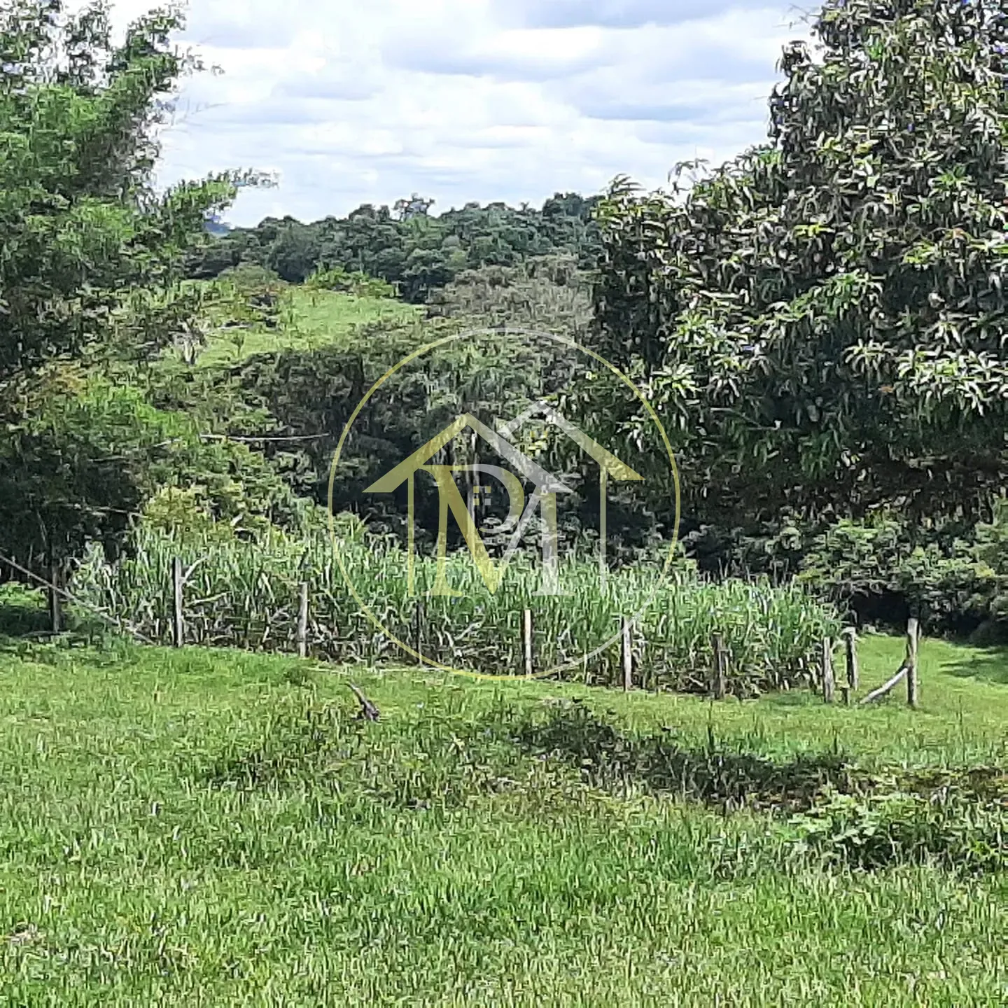 Sítio, 2 quartos, 10 hectares - Foto 19