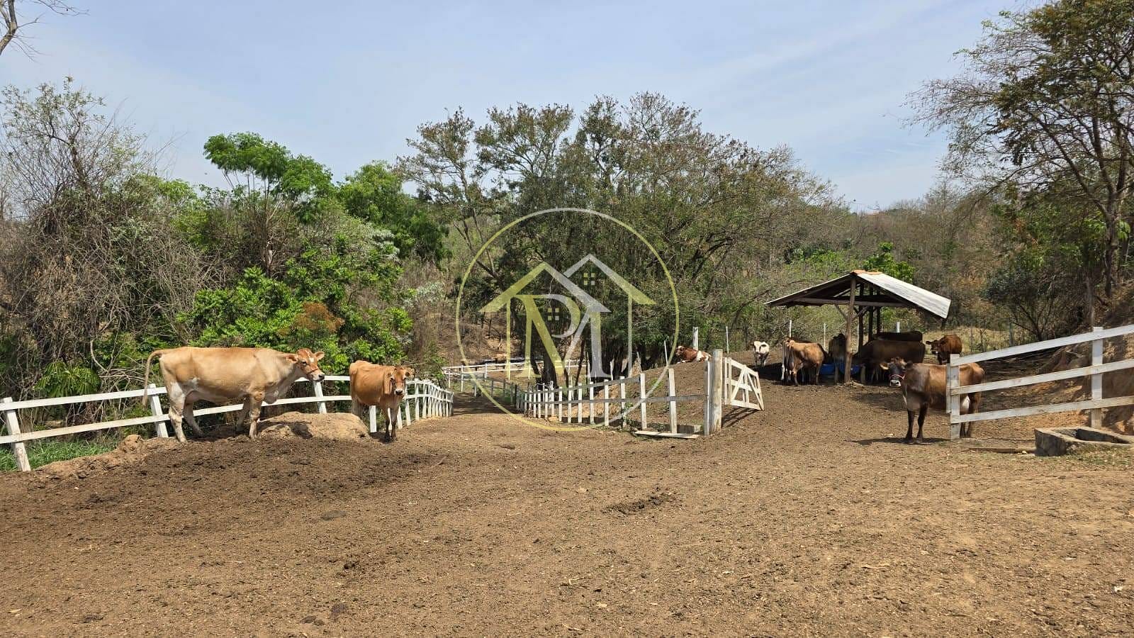 Sítio, 5 quartos, 7 hectares - Foto 45