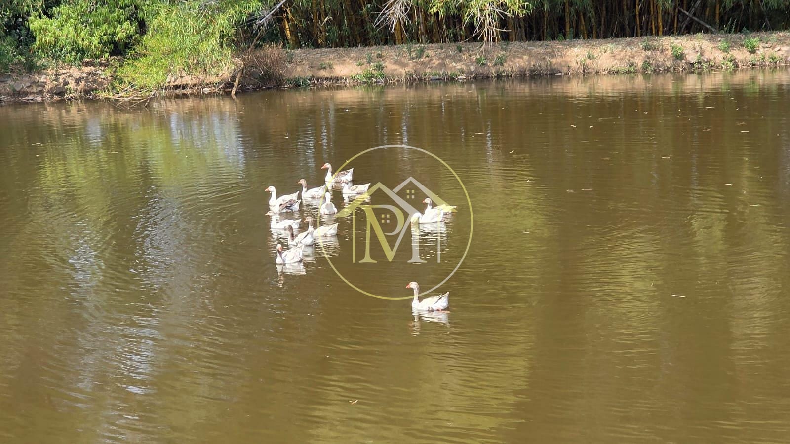 Sítio, 5 quartos, 7 hectares - Foto 5