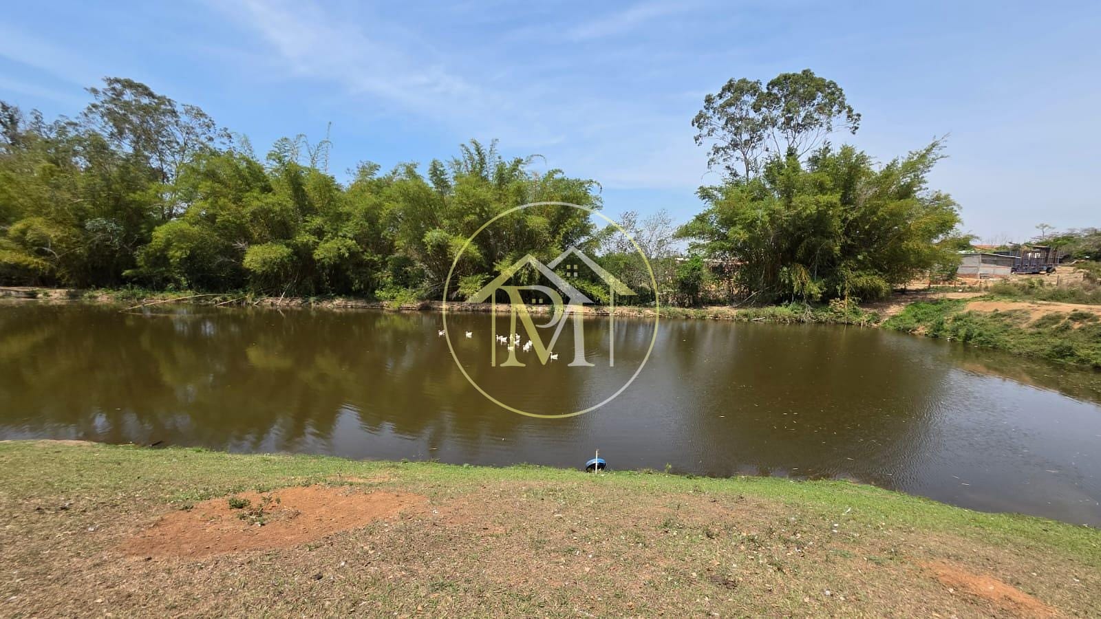 Sítio, 5 quartos, 7 hectares - Foto 6