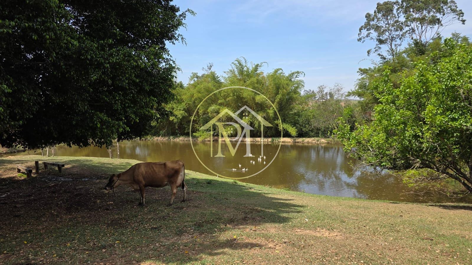 Sítio, 5 quartos, 7 hectares - Foto 8