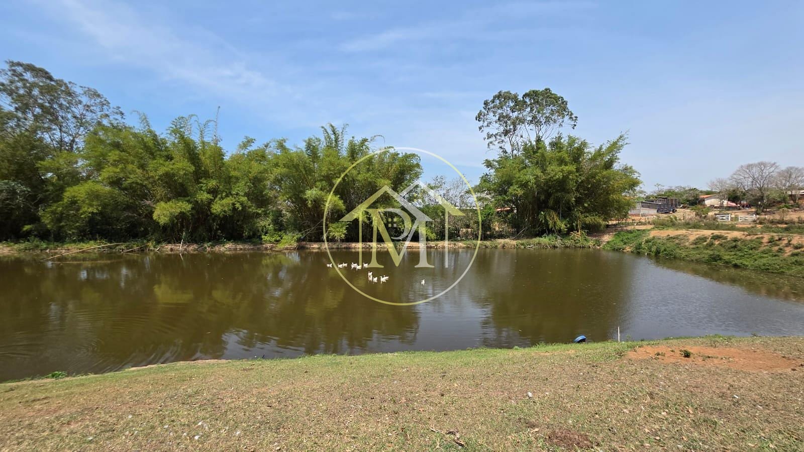 Sítio, 5 quartos, 7 hectares - Foto 9