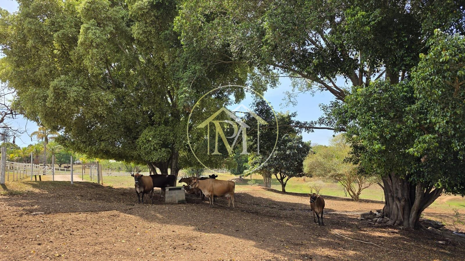 Sítio, 5 quartos, 7 hectares - Foto 11