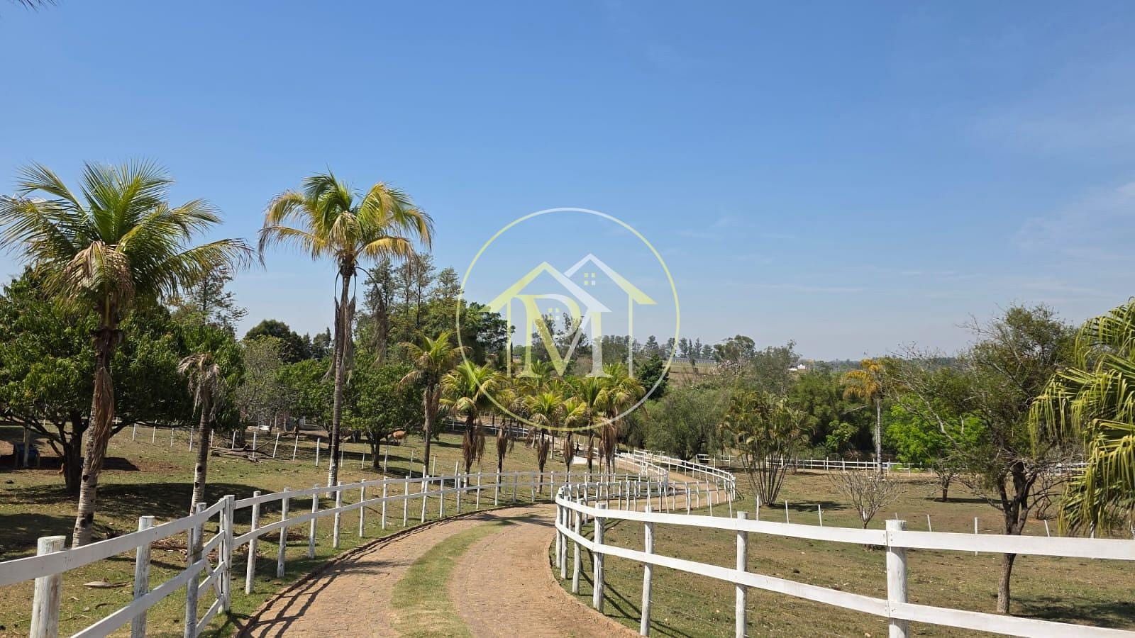 Sítio, 5 quartos, 7 hectares - Foto 14