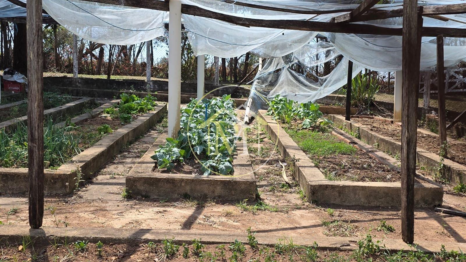 Sítio, 5 quartos, 7 hectares - Foto 17