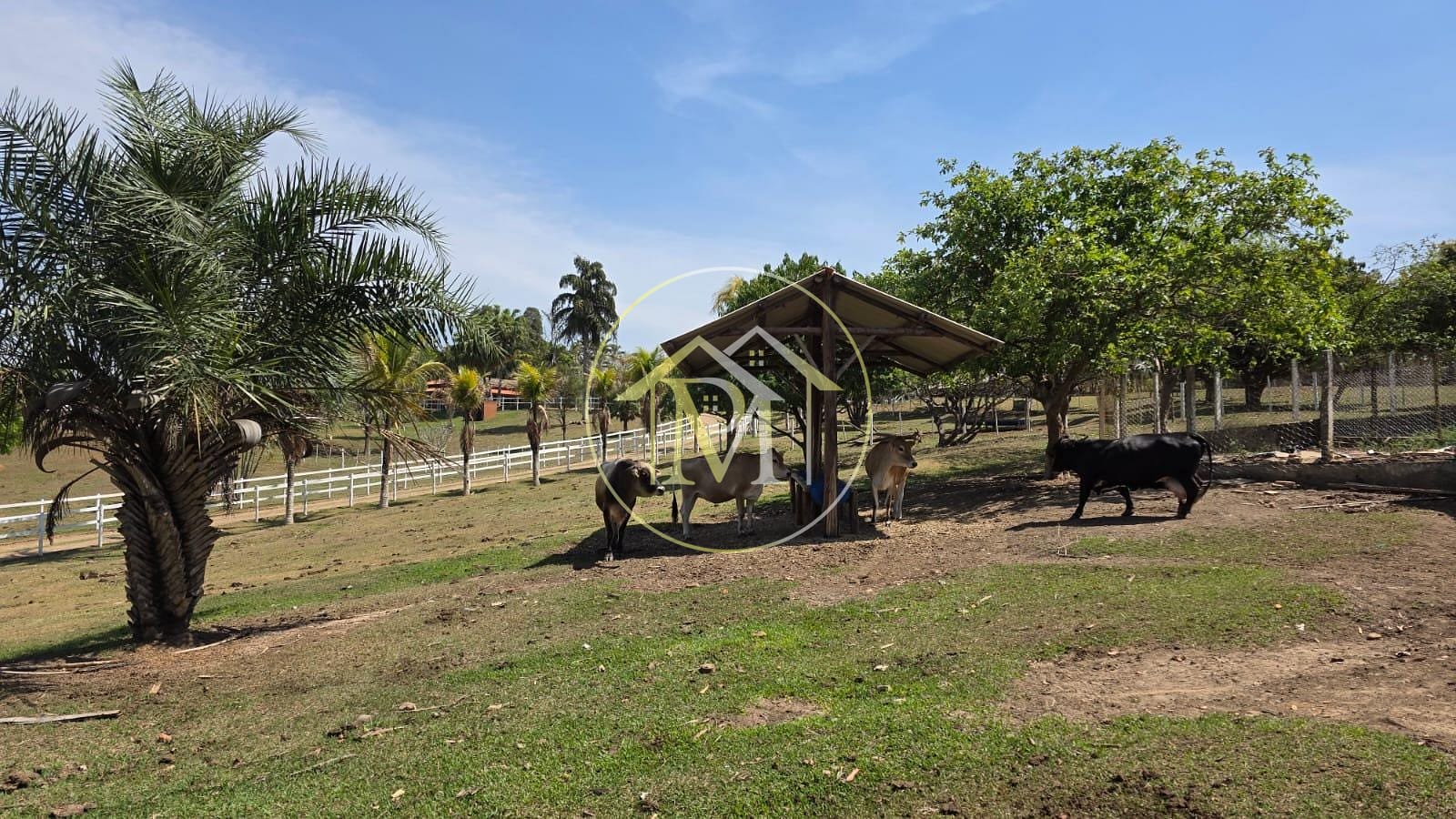 Sítio, 5 quartos, 7 hectares - Foto 20