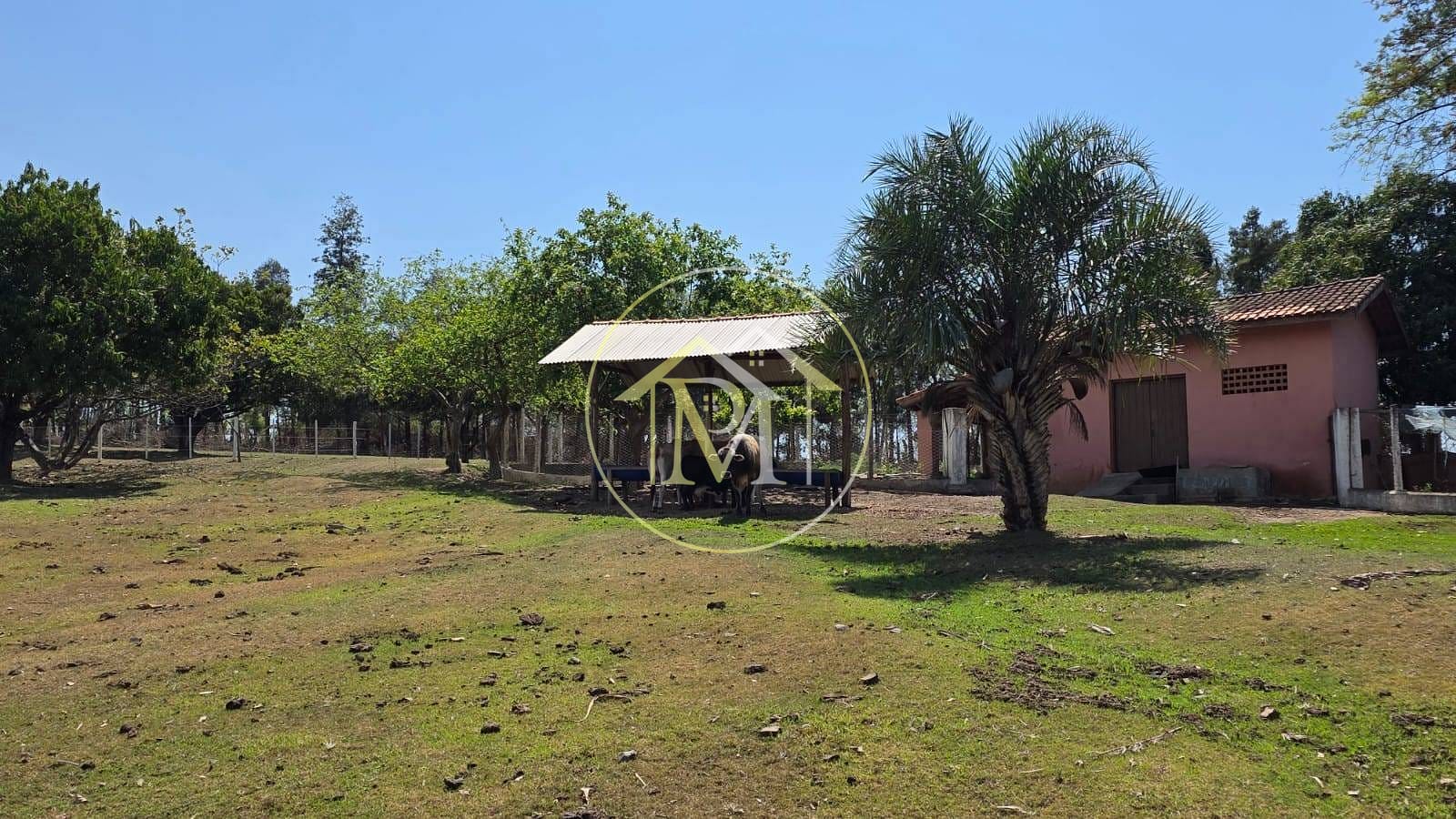 Sítio, 5 quartos, 7 hectares - Foto 22