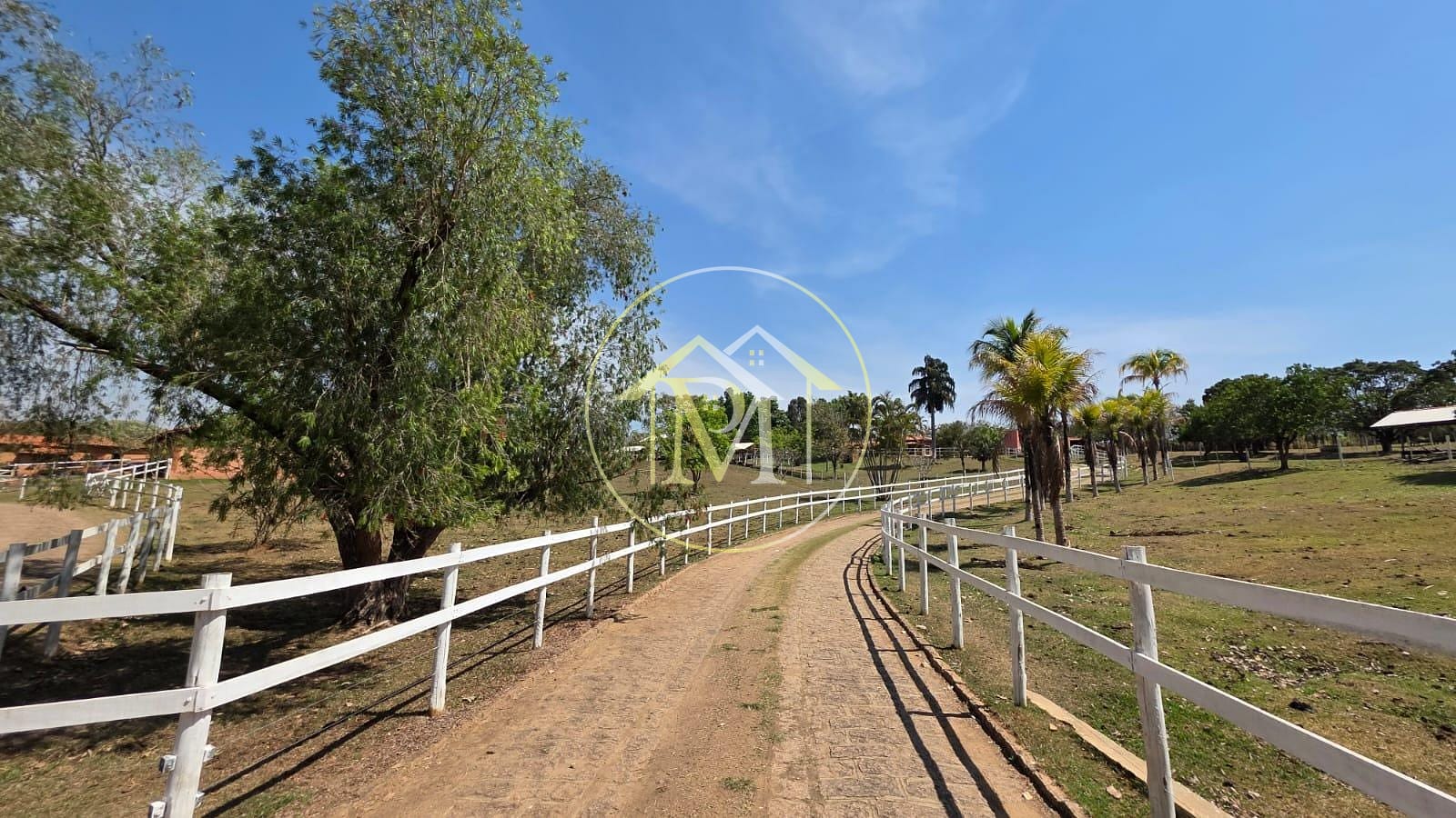 Sítio, 5 quartos, 7 hectares - Foto 24