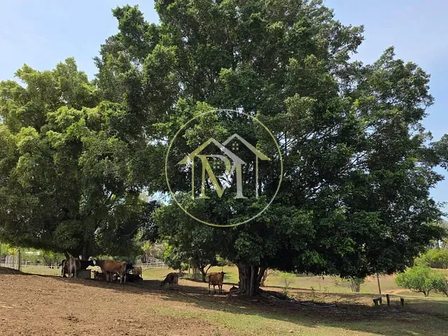 Sítio com 67000m² 5 quartos e 4 banheiros, à venda, no bairro Área Rural de Porto Feliz em Porto Feliz