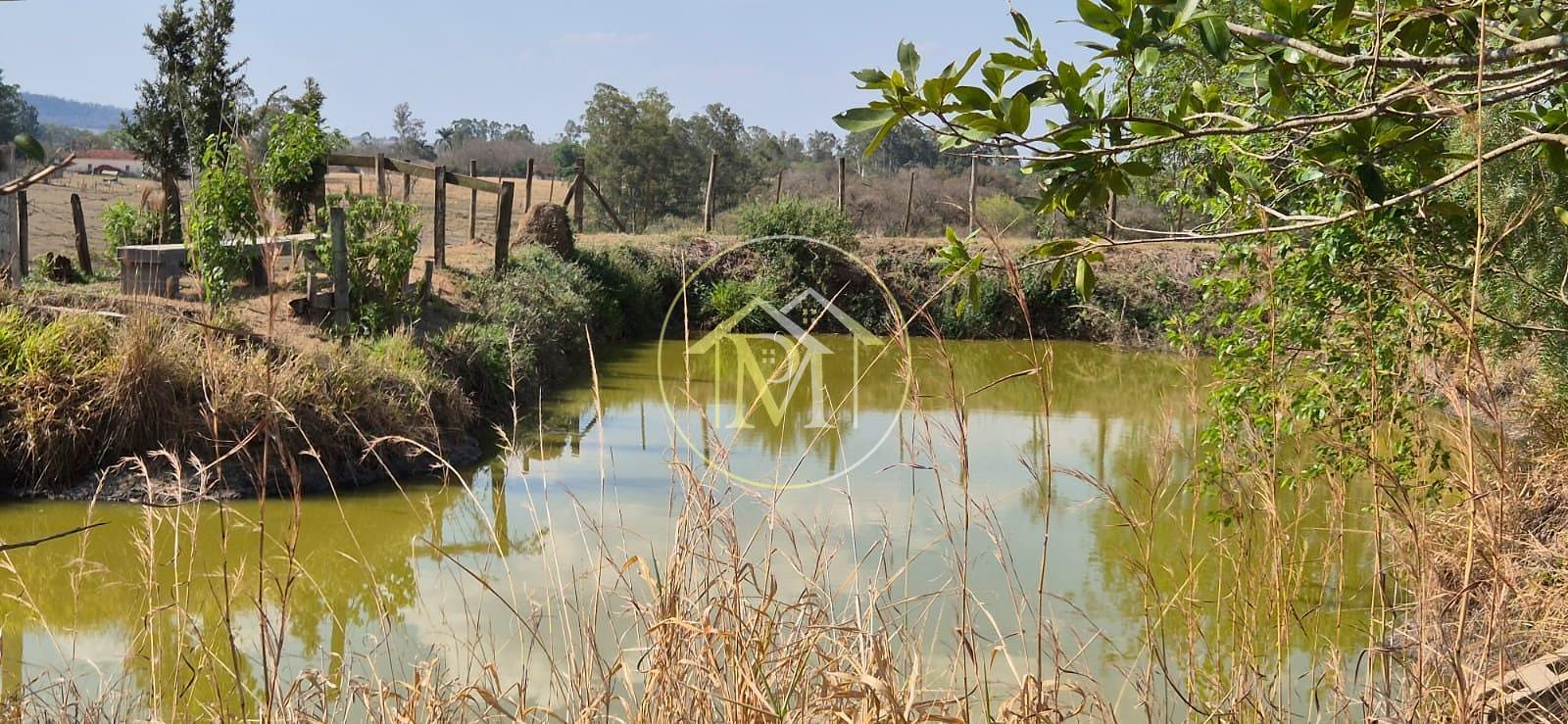 Sítio, 4 quartos, 6 hectares - Foto 18